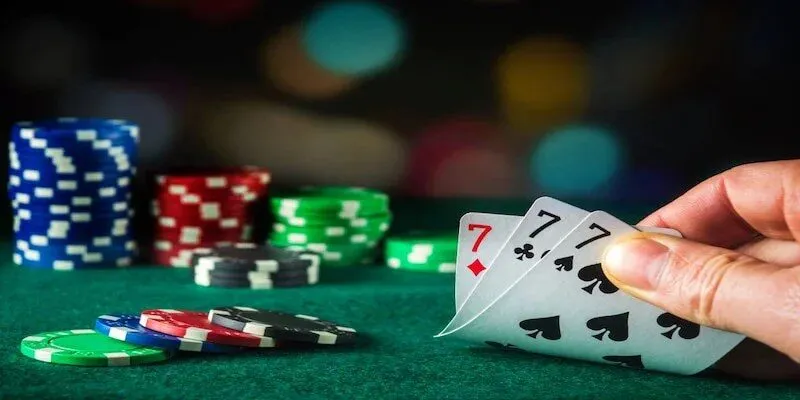 Bí quyết cược sâm đỉnh cao từ cao thủ 79King