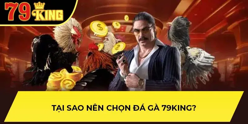 Cược đá gà luôn mang lại cảm giác hưng phấn cho người chơi